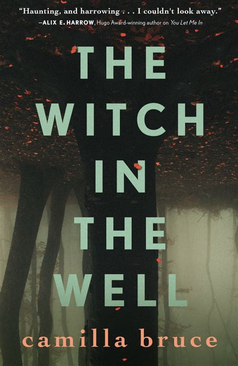 The witch who fell into the well camilla bruce